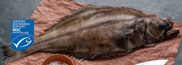 Supporting Sustainable Fisheries Management for Future Generations