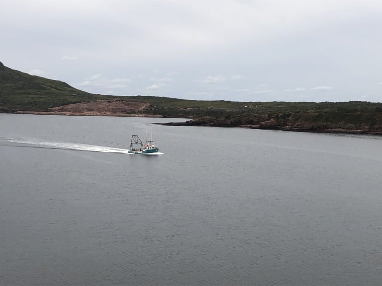 Sea Cucumber: Finding new markets for the future