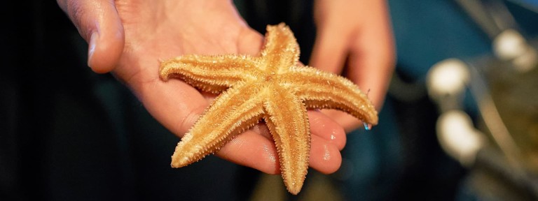 Inspiring in the next generation of biologists, engineers, innovators and curious dreamers